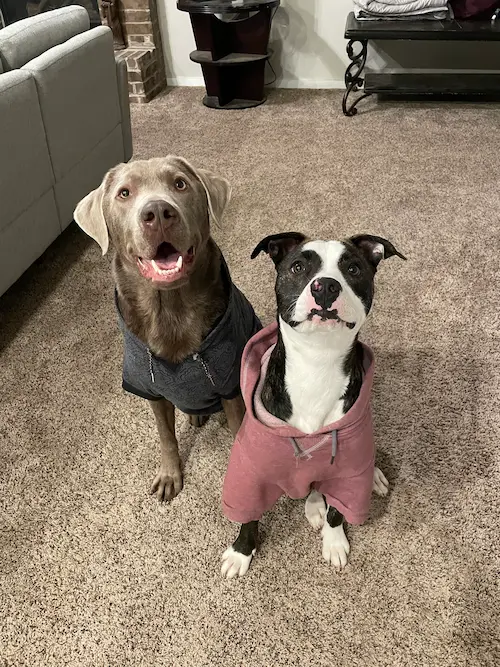 Archimedes & Artemis